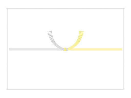 タカ印 のし紙京印黄水引半紙 2-245（10セット）