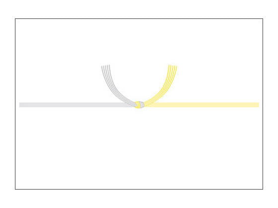 タカ印 のし紙京印黄水引半紙 2-245（10セット）