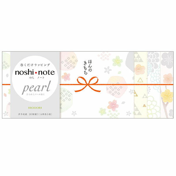 タカ印 ノシノートパール大ＩＲＯＤＯＲＩ 50-9765　4974268571847（5セット）