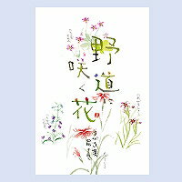 チキュウ はがき箋ノミチニサクハナ 8140 4963328281406（5セット）