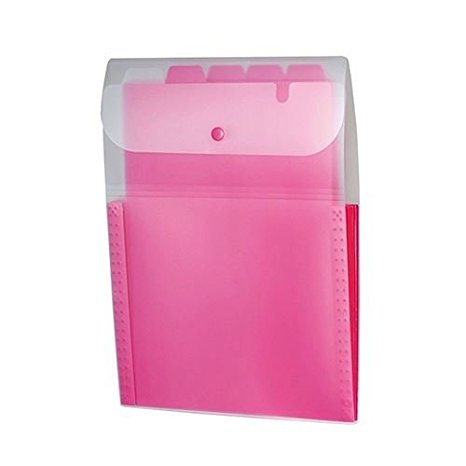 セキセイ ドキュメントホルダー縦 ローズ ACT-3915-23 セキセイ 4974214173255（10セット）