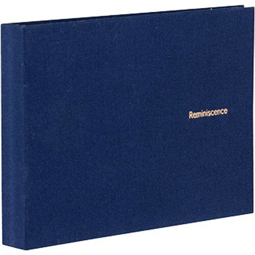 セキセイ　SEKISEI ミニポケットアルバム高透明　Lサイズ40枚収容 XP-5540-15 ネイビーブルー 4974214176423（10セット）