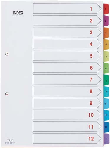 テージー カラーインデックスPP INB-1412 A4 2穴 12山数字入（10セット）