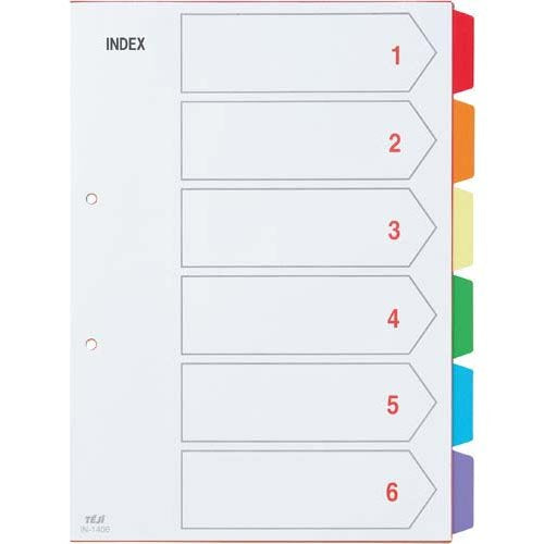 テージー カラーインデックスPP A4 2穴 6山 IN-1406（10セット）