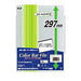テージー カラーバーファイル297 A4 10P ライトグリーン CBY297-15（10セット）