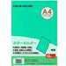 カラーホルダーＡ４　１０マイ　Ｐミント CC-141A-16 テージー 4904611009147（10セット）