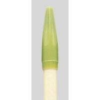 寺西化学 magic 水性ペン ラッションペン No.300 （細字） うぐいす M300-T19（10セット）