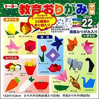 教育折紙15 中級（10セット）