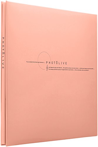 ナカバヤシ フエルアルバムＬ レッド LPF-1002-R（10セット）