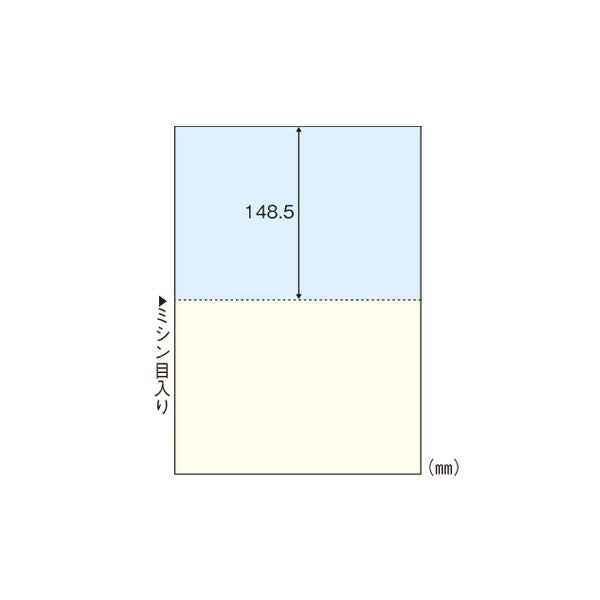 HISAGO マルチプリンタ帳票 A4カラー2面 BP2010 ヒサゴ 4902668553330（10セット）