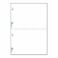 Ａ４白紙　２面４穴　 BP2003WZ ヒサゴ 4902668557031（10セット）