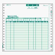 コンピュータ用帳票　ドットプリンタ用 BP0302 73117 ヒサゴ 4902668550490（10セット）