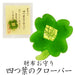 ピーコック　財布お守りクローバー　28502 表現社 4961187285023（10セット）