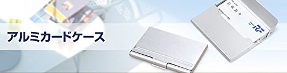 レイメイ アルミカードケース BRV703 4902562133072（10セット）