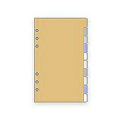 ダ・ヴィンチ　聖書リフィル　カラーインデックス レイメイ藤井 4902562246116（10セット）