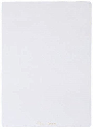 再生ペット下敷　トーメイ レイメイ藤井 4902562353333（10セット）