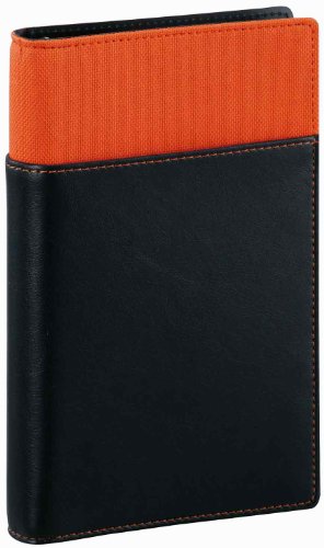 レイメイ 聖書リフィルファイル WBF100D レイメイ藤井 4902562417288（10セット）