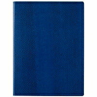 レイメイ ノートパッドA5 ZVP203K レイメイ藤井 4902562426402（10セット）