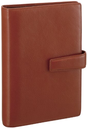 レイメイ藤井 システム手帳バイブルサイズ ブラウン DB3005C レイメイ藤井 4902562432205（10セット）