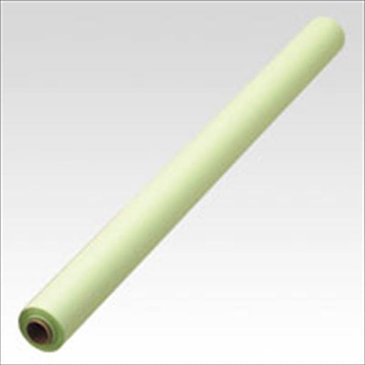 マス目模造紙 プル ウグイス マ-21WA(20枚入) マルアイ ﾏ-21WAｳｸﾞｲｽ（10セット）