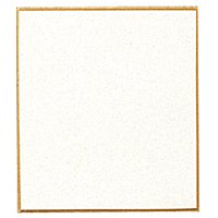 マルアイ 色紙 S1 画仙 ミニ マルアイ 4902850341516（10セット）