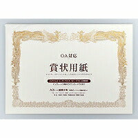 マルアイ GP-SHA3Y マルアイ 4902850237277（10セット）