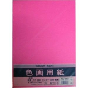 マルアイ 色画用紙 N832 もも 10枚 マルアイ 4902850124126（10セット）