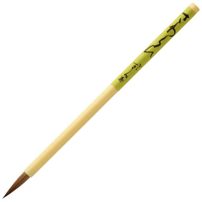 あかしや（一般） さわらび PS-41　4963095094049（5セット）