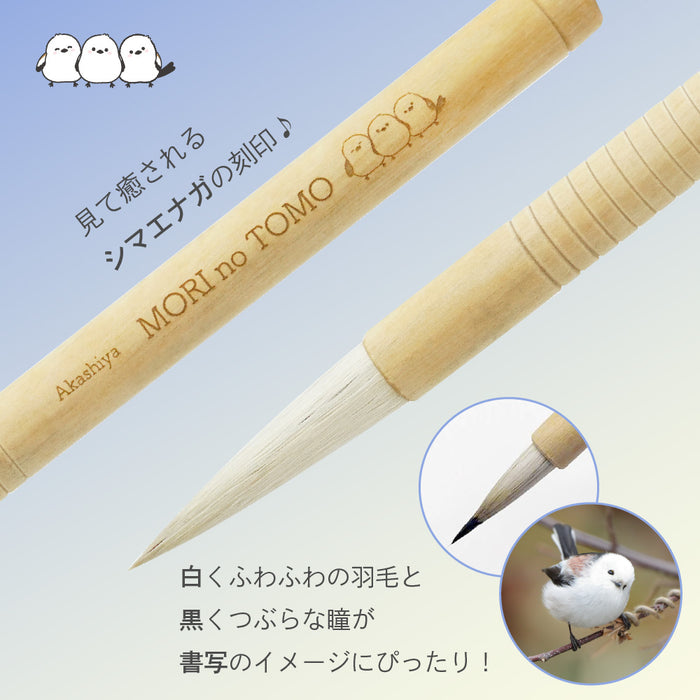 Akashiya Shimaenaga 2 Piece Set ALS-B160B 4963095236845 (5 set)