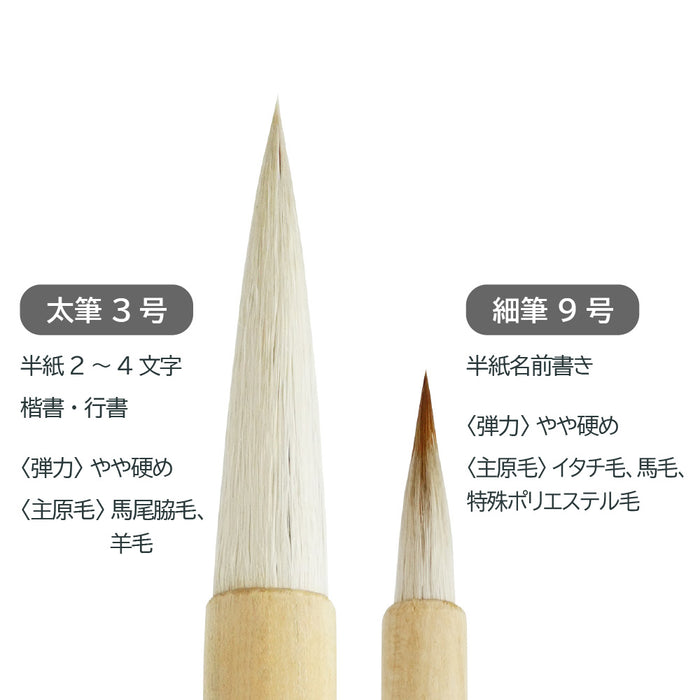 Akashiya Shimaenaga 2 Piece Set ALS-B160B 4963095236845 (5 set)