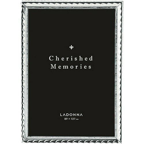 ラドンナ メタルフレーム SK12-L-SV　4934122077175（10セット）