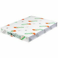 北越紀州製紙 NEWファインカラー 64g A3 ライトブルー 北越コーポレーション 4535449314112（10セット）