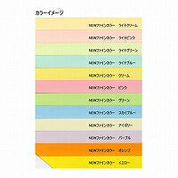 北越紀州製紙 NEWファインカラー 64g A3 アイボリー 北越コーポレーション 4535449320113（10セット）