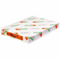 紀州製紙 ニューファインカラー b4 オレンジ   北越コーポレーション 4535449318318（10セット）