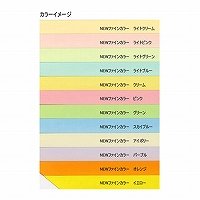 紀州製紙 ファインカラー   b5ライトピンク 北越コーポレーション 4535449322414（10セット）