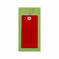 ﾀﾞｲｱｶ　エコール テンカラー荷札1000マイダイ アカ エコール流通グループ 4937020010329（10セット）