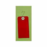 ﾁｭｳｱｶ　エコール テンカラー荷札1000マイチュウ アカ エコール流通グループ 4937020010435（10セット）