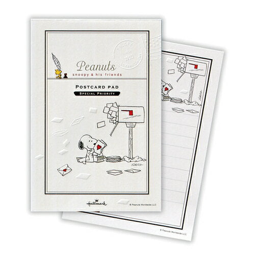 日本ホールマーク 葉書箋ＳＮポストと手紙 819873　4961099819873（6セット）