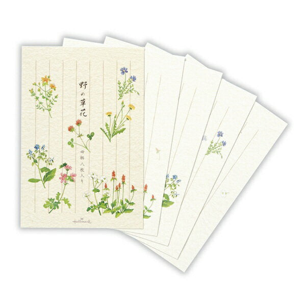日本ホールマーク 葉書箋野の草花２ 819859　4961099819859（6セット）