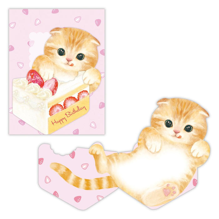 日本ホールマーク ＭＨＢスコティッシュフォールド 830625 4961099830625（6セット）