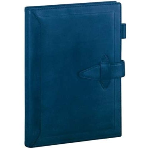 レイメイ藤井 ダヴィンチ ロロマクラシック システム手帳 A5サイズ リング20mm ブルー DSA3010A レイメイ DSA3010A　4902562486284（10セット）