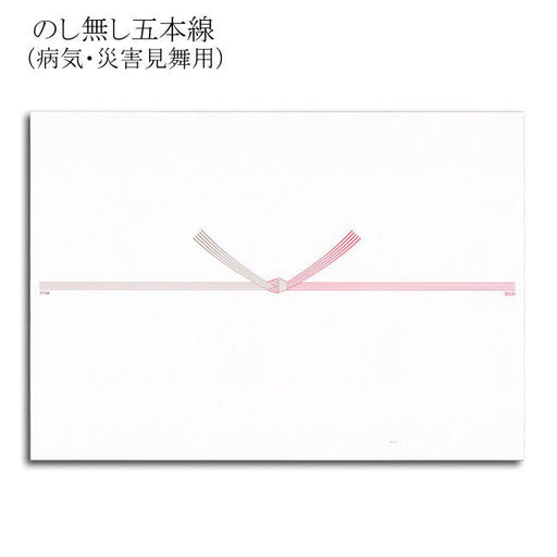 タカ印　のし紙　A5判　2-519　五本結切　京　のし無し ササガワ 4974268221445（10セット）