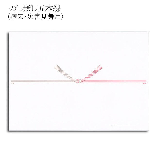 タカ印　のし紙　A5判　2-519　五本結切　京　のし無し ササガワ 4974268221445（10セット）