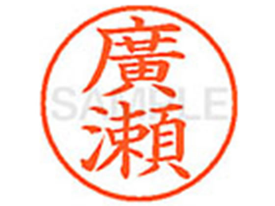 ネーム9既製 XL-9 4073  廣瀬 シヤチハタ 4974052588631（10セット）