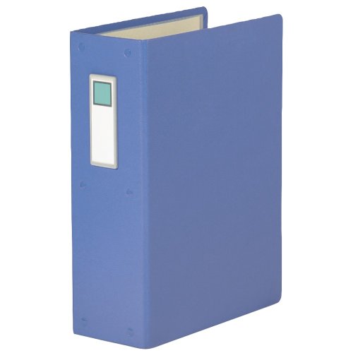 キングジム パイプファイルA4S C88-2（10セット）