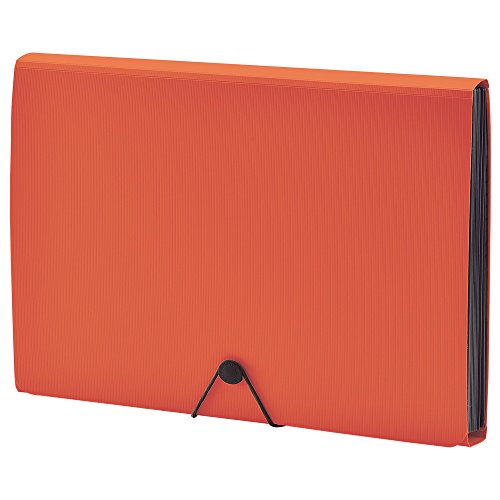 リヒトラブ ドキュメントファイル A4 オレンジ A7620-4（10セット）