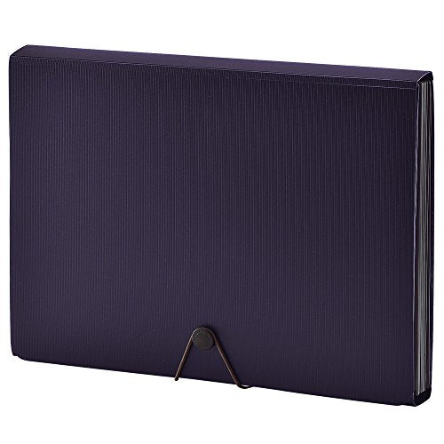 リヒトラブ ドキュメントファイル A4 ネイビー A7620-11（10セット）