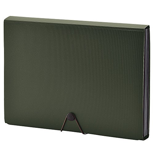 リヒトラブ ドキュメントファイル A4 オリーブ A7620-22（10セット）