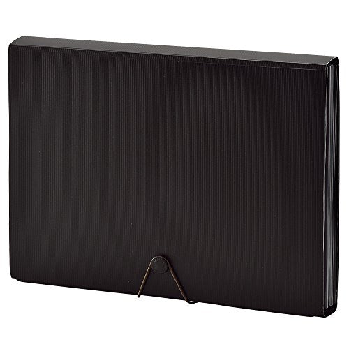 リヒトラブ ドキュメントファイル A4 ブラック A7620-24（10セット）