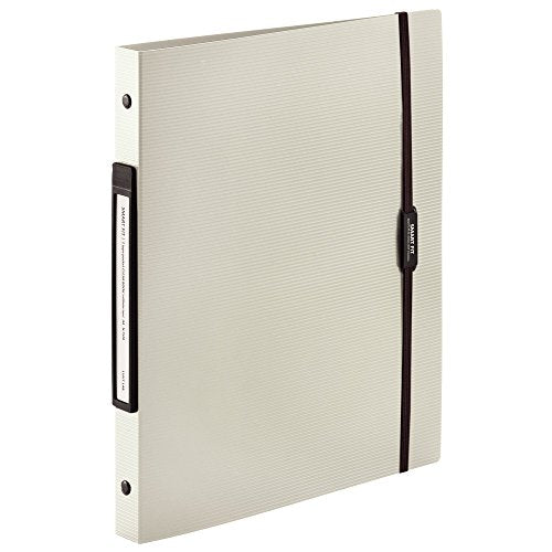 リヒトラブ クリヤーブック A4 30穴 ベージュ N7520-16（10セット）